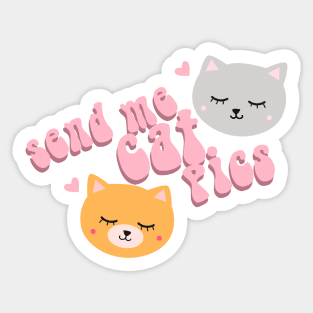 Send me cat pics Sticker